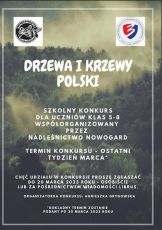 drzewa