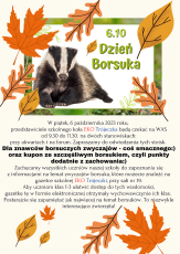 Dzień Borsuka