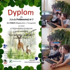 Co wiemy o lesie