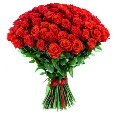 roze czerwone kreator 1