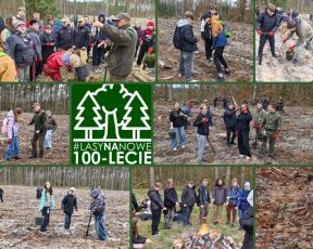 LASY NA NOWE 100 LECIE