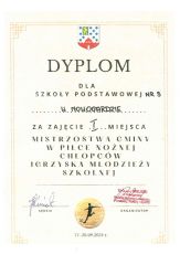 dyplom IMS