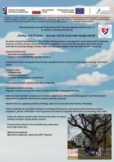 Nadaj Imię Drzewu