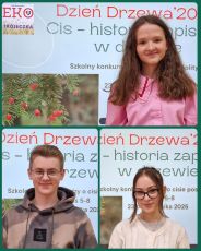Cis. Historia zapisana w drzewie