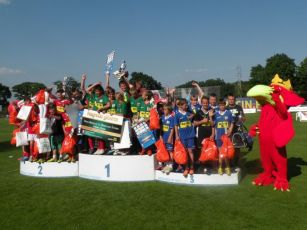 Mini mundial 2013