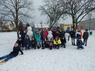 2016 01 08 zima